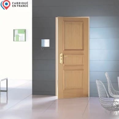 Porte blindée Fichet d'appartement